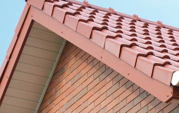 Buckfastleigh fascia repair quotes