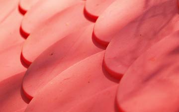 Buckfastleigh plastic roof costs