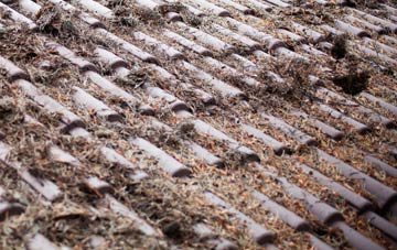 Buckfastleigh roof cleaning companies