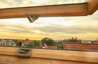 rated Buckfastleigh roof window companies